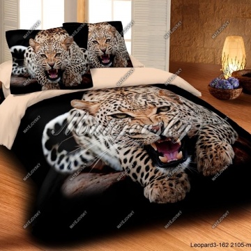 Leopard Wild