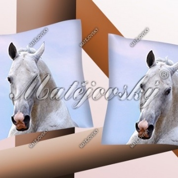 Povláček koně life (cheval)