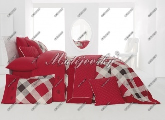 Přehoz Erica fire