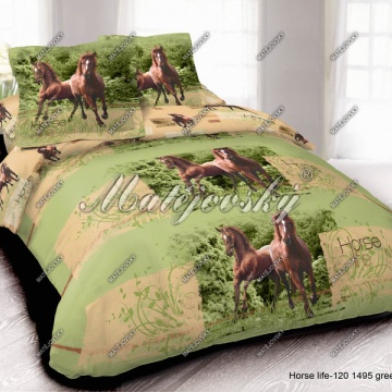 Horse life