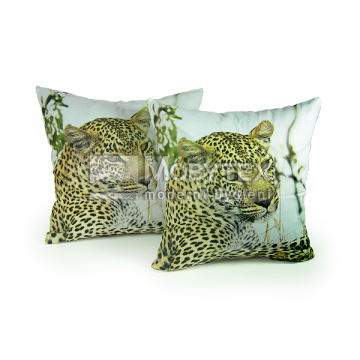Povláček Leopard live