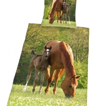 Klisna a hříbě HD