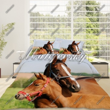 Horse love