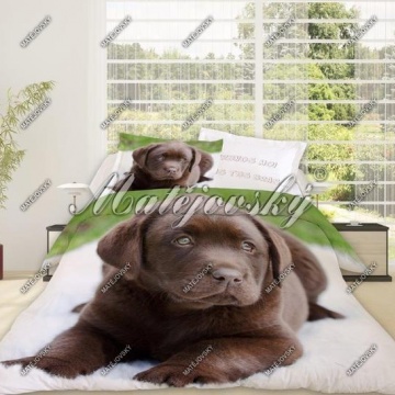 Labrador