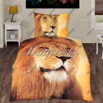 Lion king