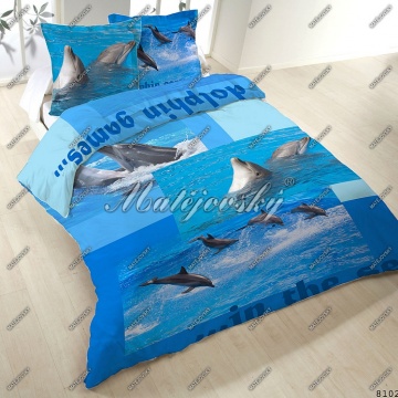Dolphin