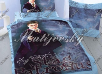Harry Potter Forbidden Forest