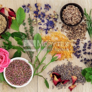 Prostírání Matějovský Herbal