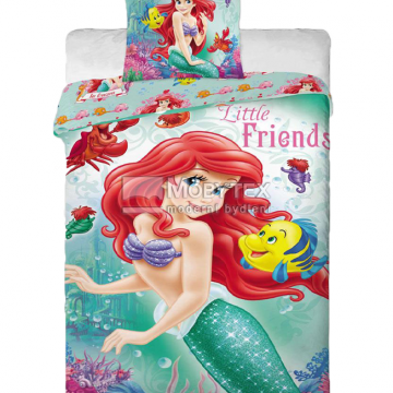 Ariel 2014