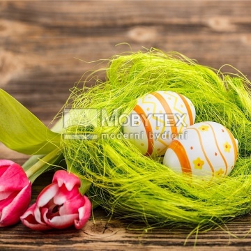 Prostírání Matějovský Velikonoce Tulipán