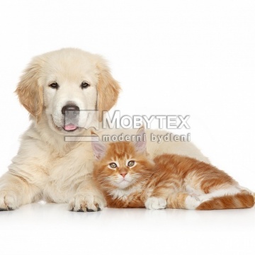 Prostírání Matějovský Pes a kočka