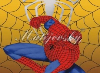 Osuška Spiderman 5