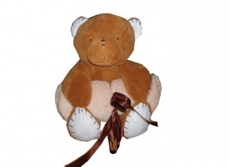 Dětská hračka s dečkou TEDDY