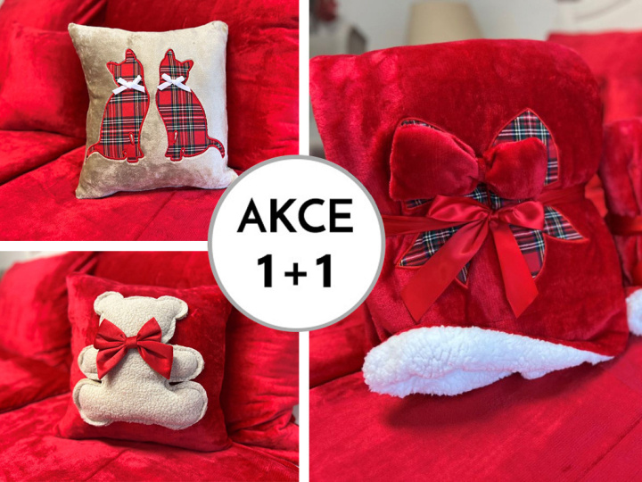 A Akce 1+1 Dětská deka PZ 024 tisk 150/100 + 40/40 tisk