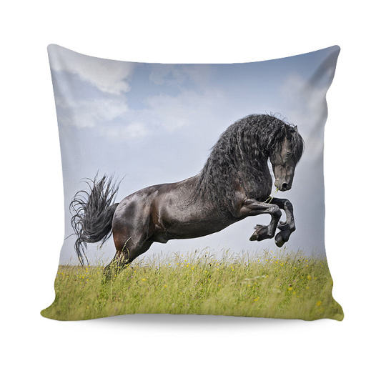 Friesian Bavlna deluxe digitál 1x 40/40 1