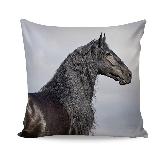 Friesian Bavlna deluxe digitál 1x 40/40 2