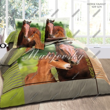 Horse family