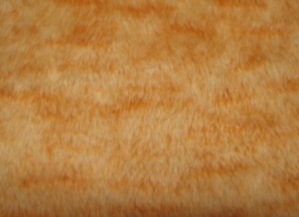 Sahara 2